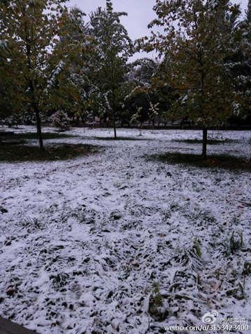 新疆迎下半年来最强降雪 四川盆地【暴雨】