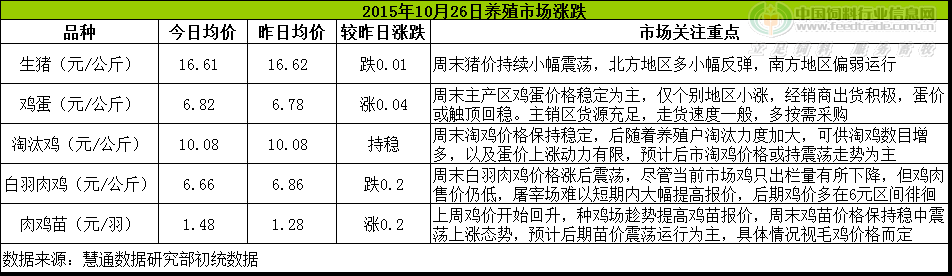 鸡评.png