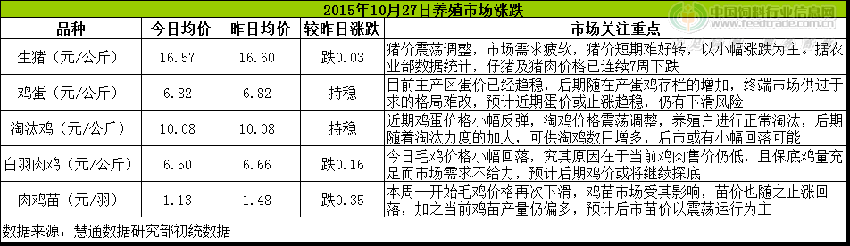 鸡评.png