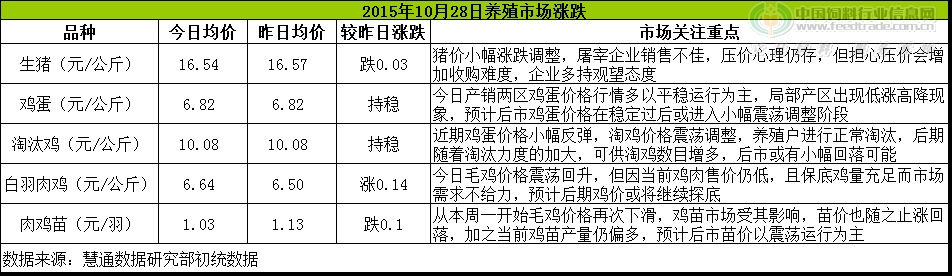 鸡评.png