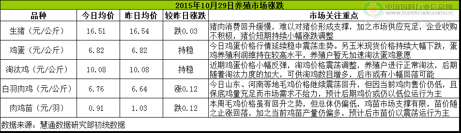 鸡评.png