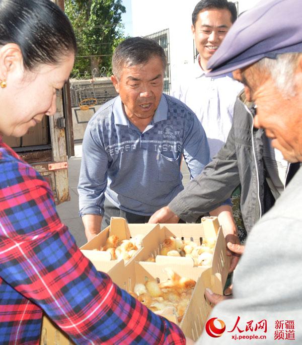村民高興地領取雞苗。