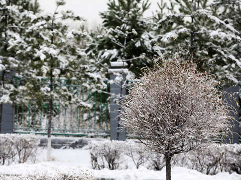 西北多地迎下半年首场雪 【广西】局地暴雨