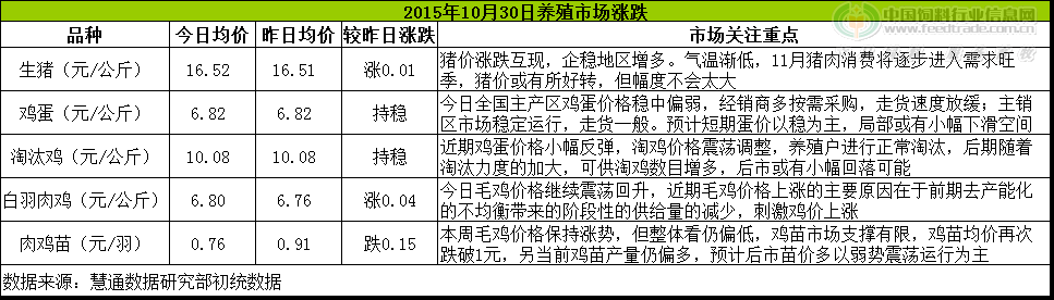 鸡评.png