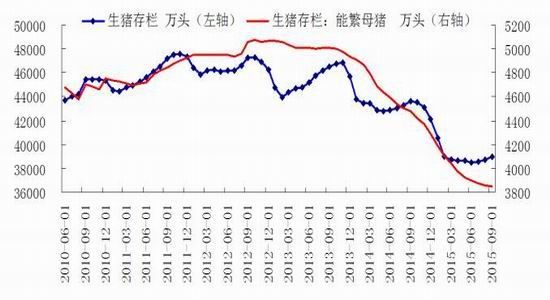 华安期货:新季玉米上市