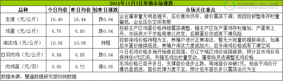 鸡评.png