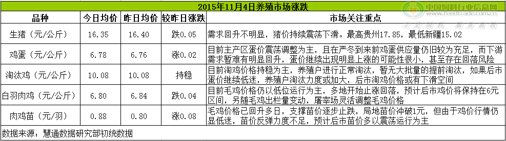 鸡评.png