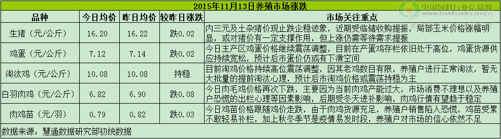 鸡评.png