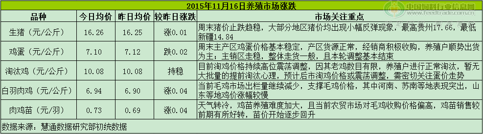 鸡评.png