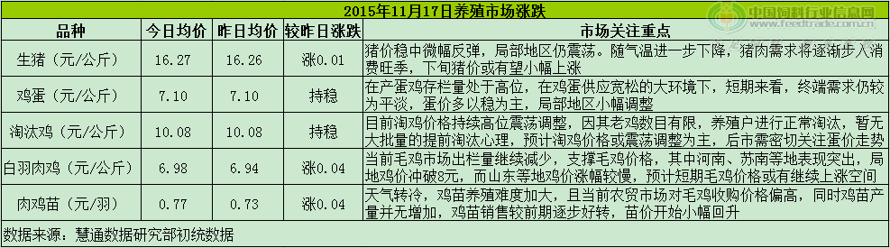 鸡评.png