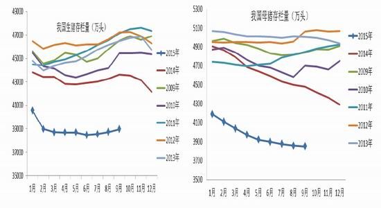 广发期货:玉米供应宽松下的操作策略