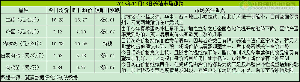 鸡评.png