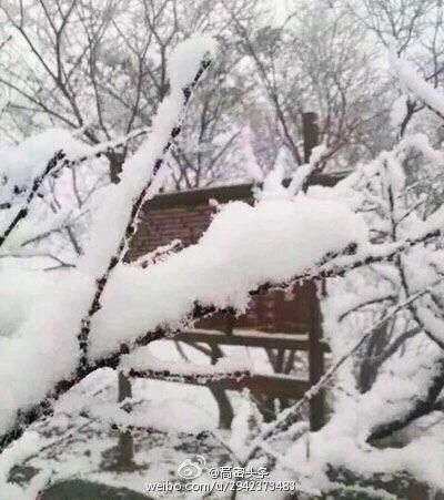 东北华北等地雨雪盛行 南方阴雨缠绵