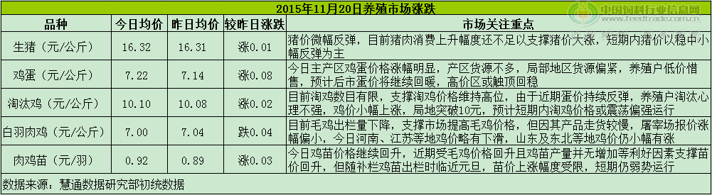 鸡评.png