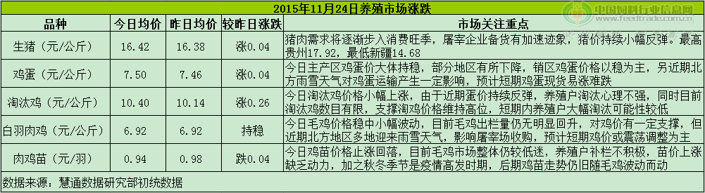 鸡评.png