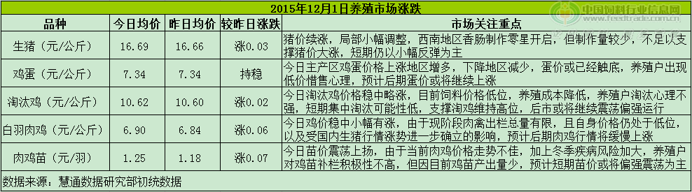 鸡评.png