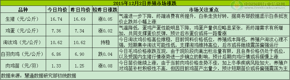 鸡评.png