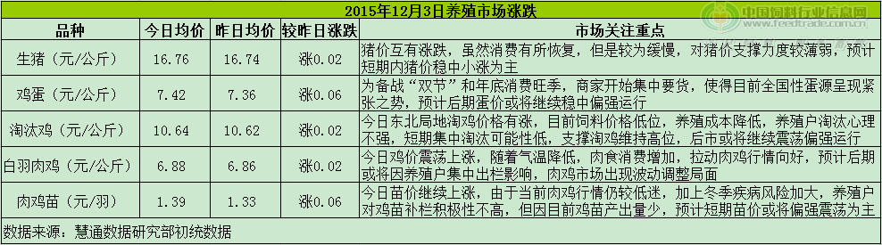 鸡评.png