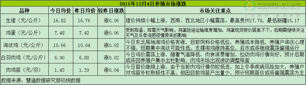 鸡评.png