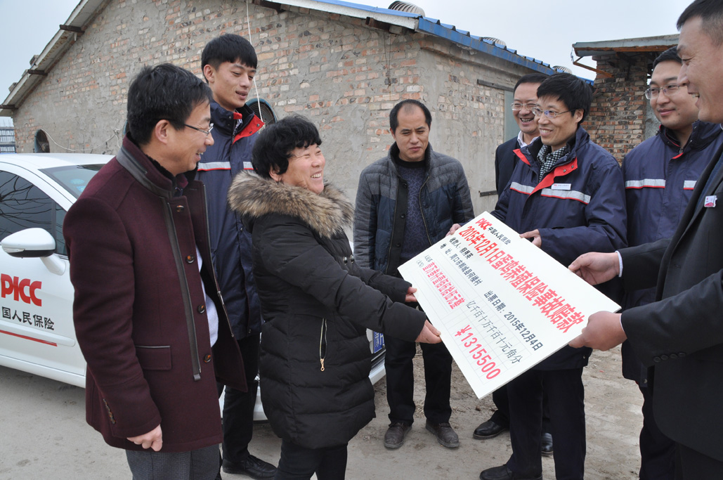河南首例蛋鸡保险理赔四天完成