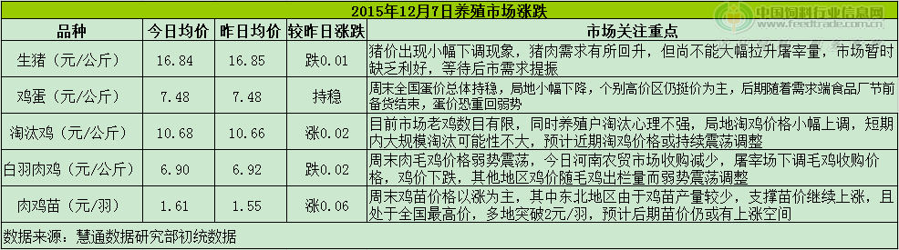 鸡评.png