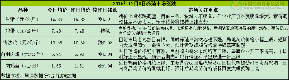 鸡评.png