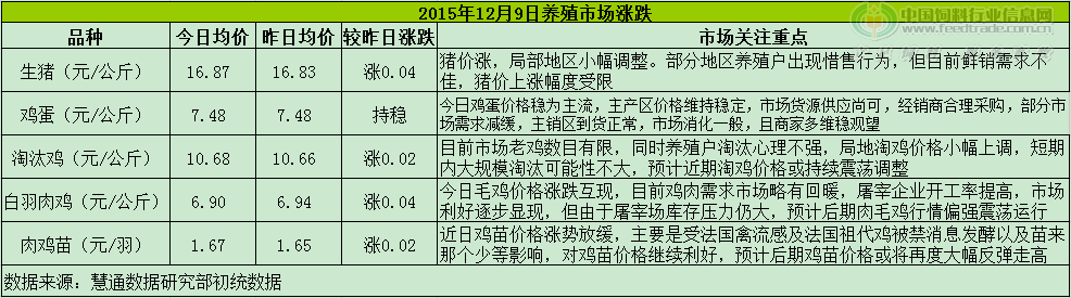 鸡评.png