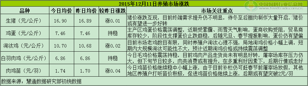 鸡评.png
