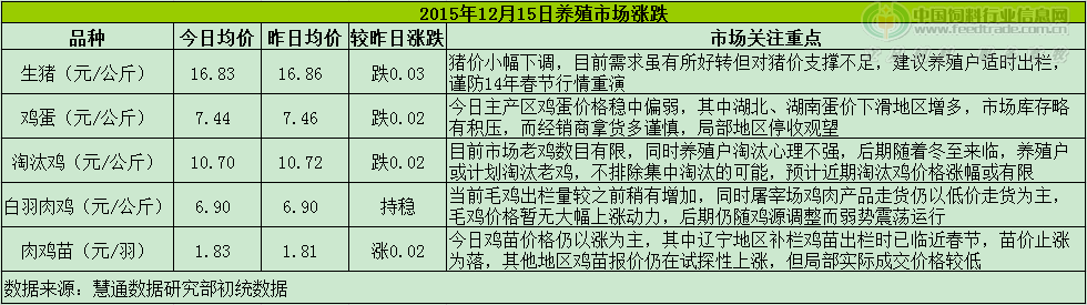 鸡评.png