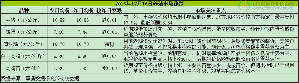 鸡评.png