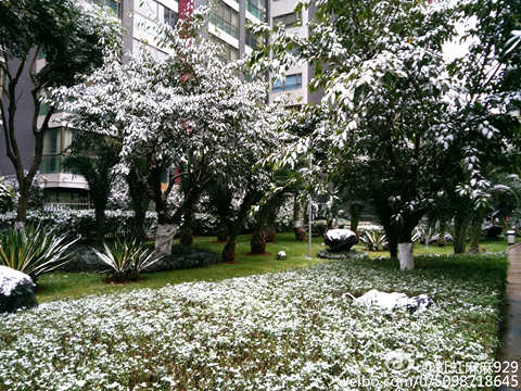 未来三天江南华南天气晴冷  西南多阴雨