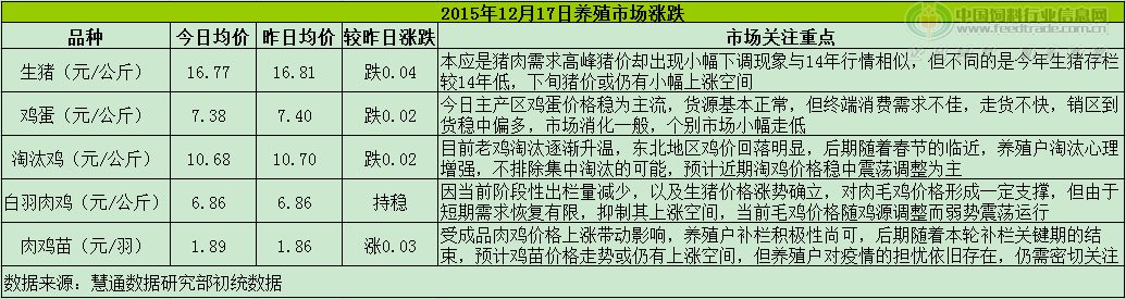 鸡评.png