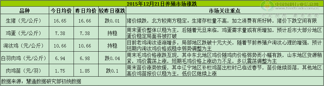 鸡评.png