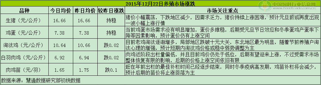 鸡评.png