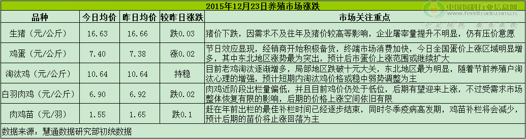 鸡评.png