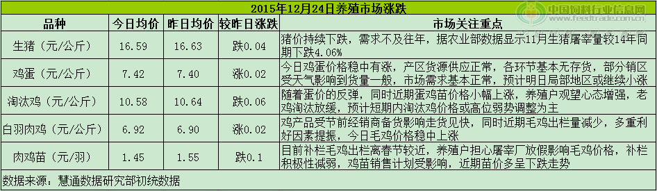 鸡评.png