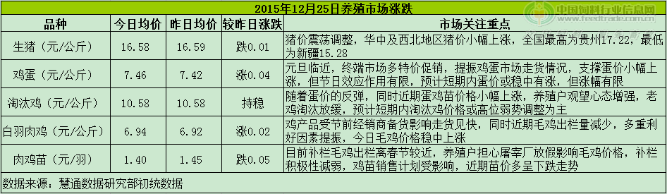 鸡评.png