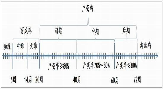 方正中期(年报):生产成本调降