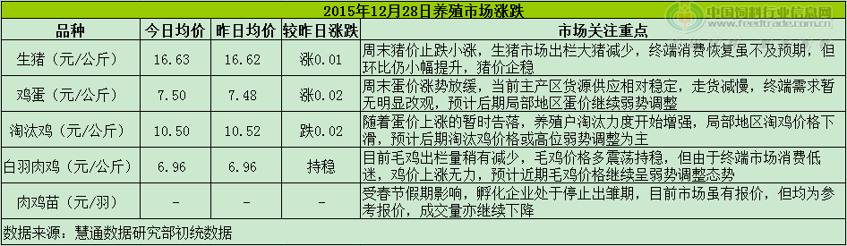 鸡评.png