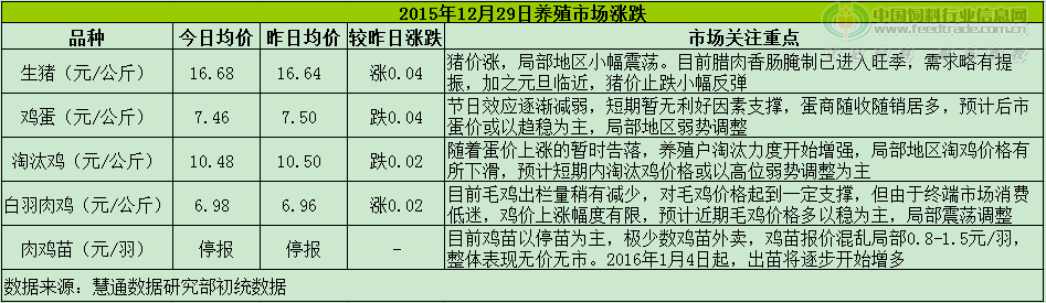 鸡评.png