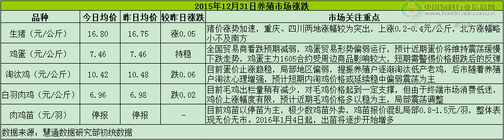 鸡评.png