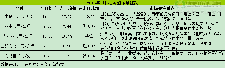 鸡评.png