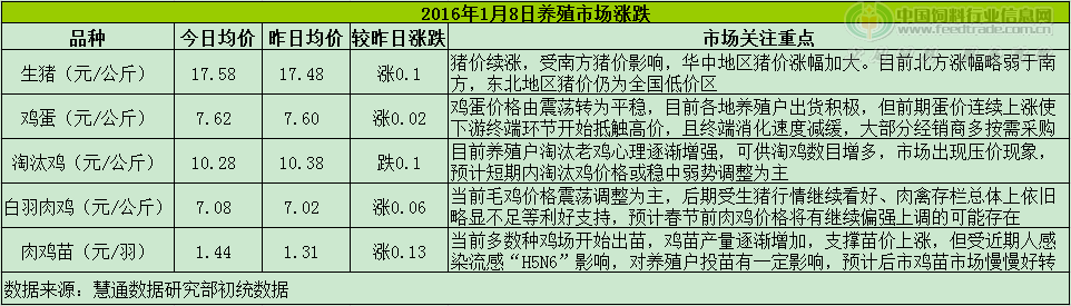 鸡评.png