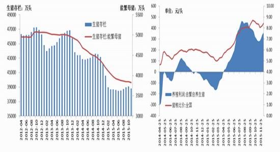 福能期货(年报):玉米2016年还将是政策市