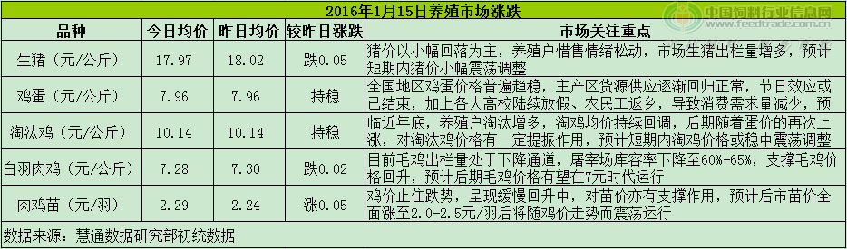 鸡评.png