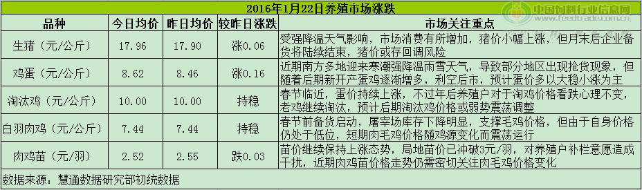 鸡评.png