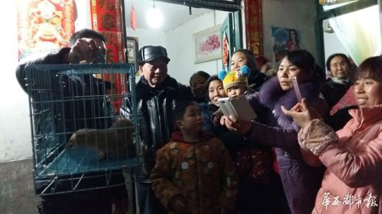 眉山市林业局野生动物保护站站长张正群说，从图片来看，基本确定是黄鼠狼。张正群说，黄鼠狼名字不好听，但实际上是“三有”动物（即国家保护的有益的或者有重要经济、科学研究价值的陆生野生动物）。特别是对捕鼠，非常在行。