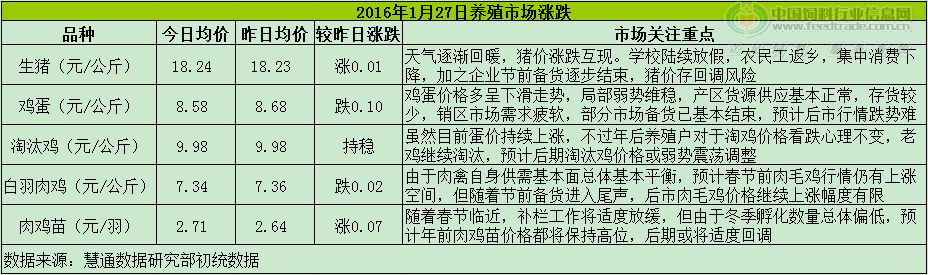 鸡评.png