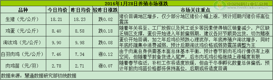 鸡评.png