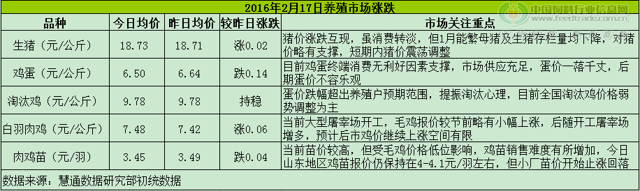 鸡评.png